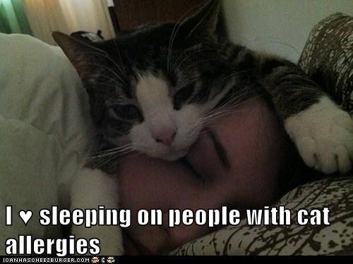 I ♥ sleeping on people with cat allergies