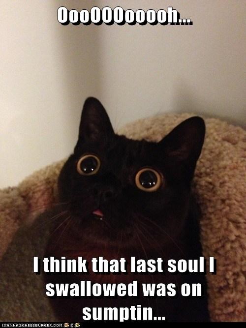 OooOOOooooh...  I think that last soul I swallowed was on sumptin...