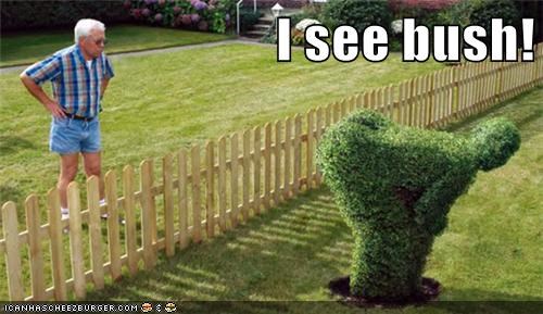 I see bush!