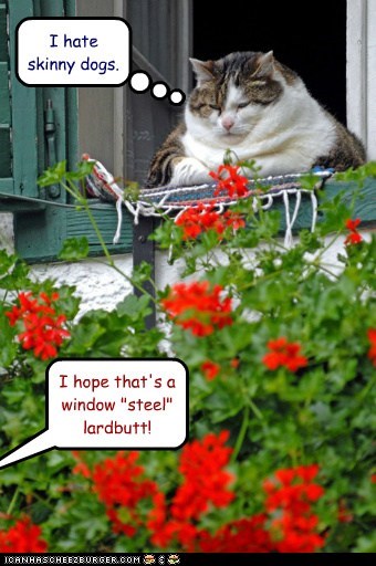 I hope that's a window "steel" lardbutt!