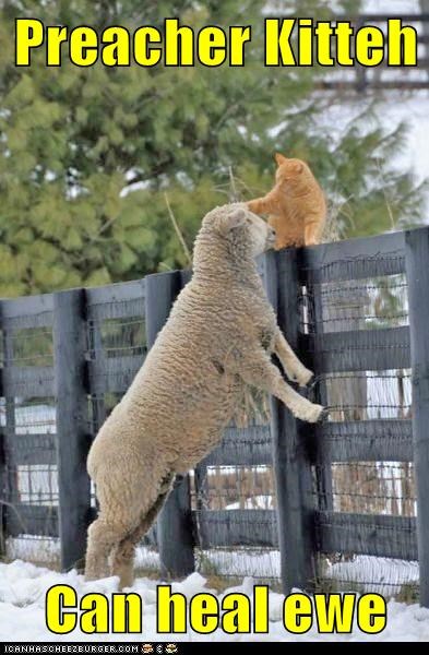 Preacher Kitteh  Can heal ewe