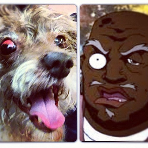 Cupcake looks like Uncle Rukus