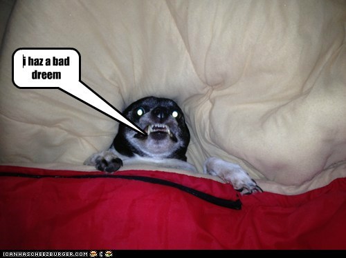 i haz a bad dreem