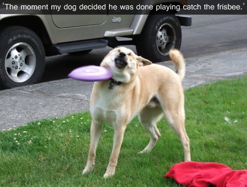 Playing Catch FAIL