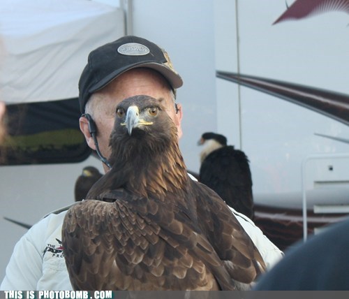 Eagle Eye