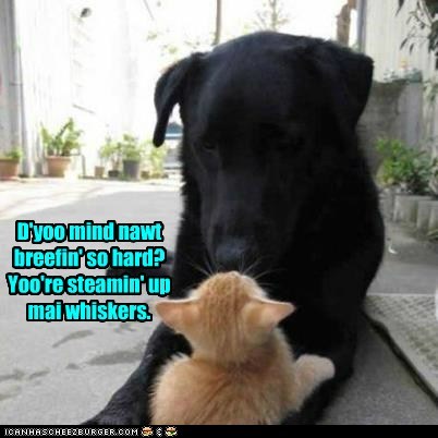 D'yoo mind nawt breefin' so hard? Yoo're steamin' up mai whiskers.