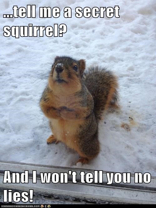 ...tell me a secret squirrel?  And I won't tell you no lies!