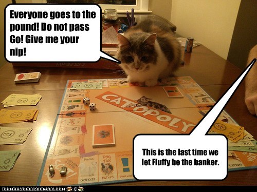 Fluffy You Can't Play With Us Anymore