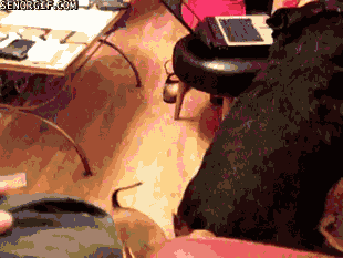 Goggie Gif: Goggie Bridge 