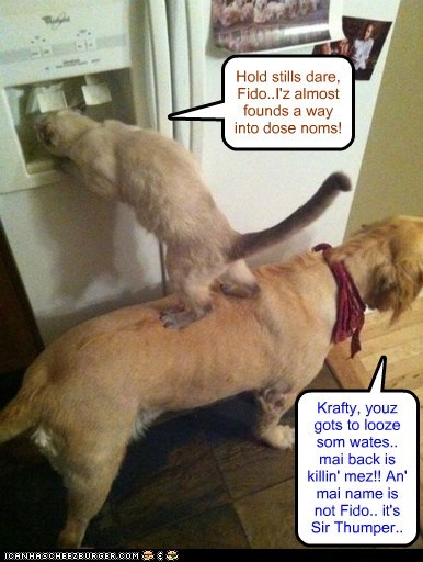 Back at KKPS after Winter Splortz 2013, KraftyKatt is up to his usual tricks again.. this time in the KKPS Kitchen!!