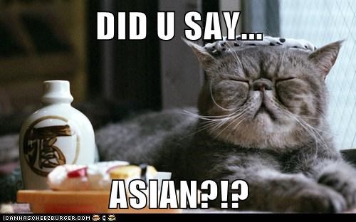DID U SAY...  ASIAN?!?