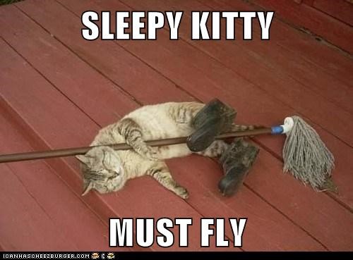 SLEEPY KITTY  MUST FLY