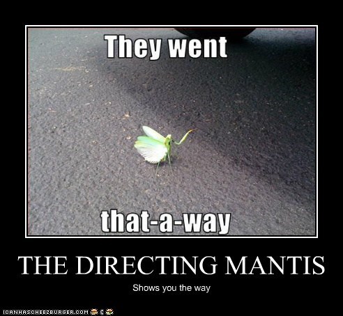 THE DIRECTING MANTIS