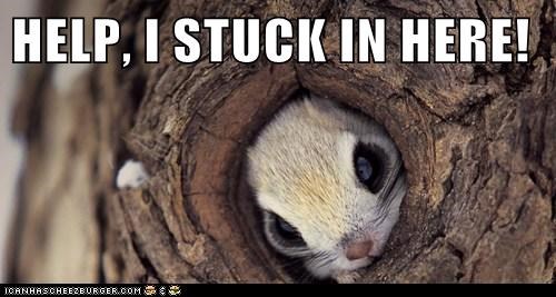 HELP, I STUCK IN HERE!