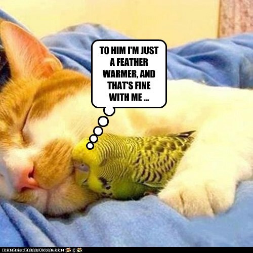 TO HIM I'M JUST A FEATHER WARMER, AND THAT'S FINE WITH ME ...