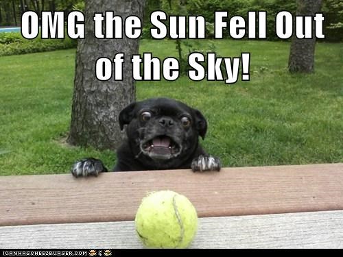 OMG the Sun Fell Out of the Sky!