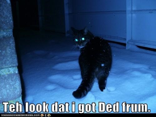Teh look dat i got Ded frum.