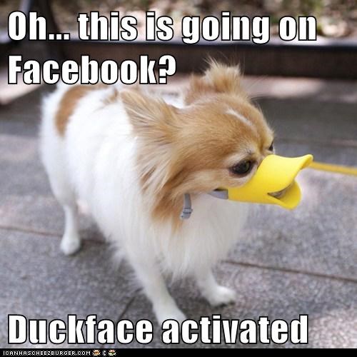 Oh... this is going on Facebook?  Duckface activated