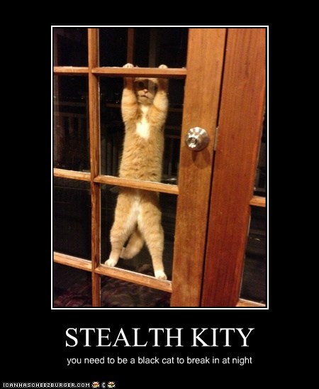 STEALTH KITY