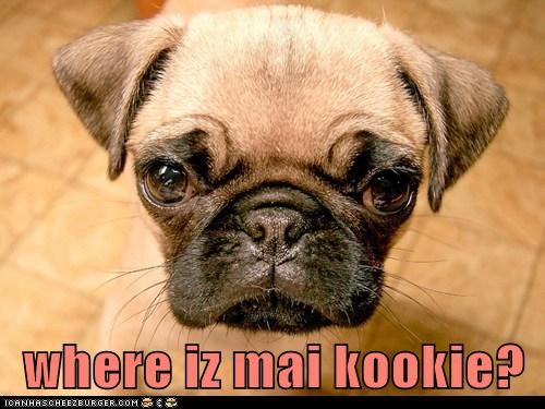 where iz mai kookie?