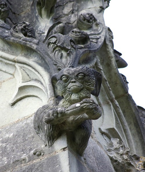 Gizmo Gargoyle WIN