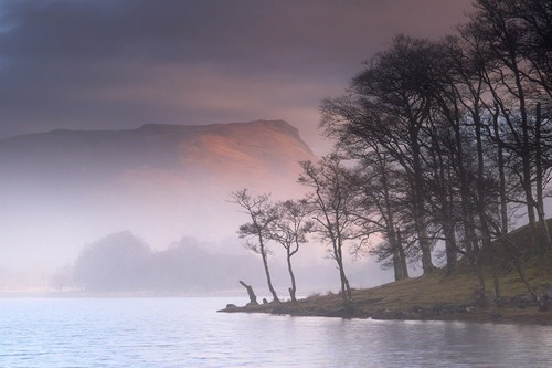 Through the Fog