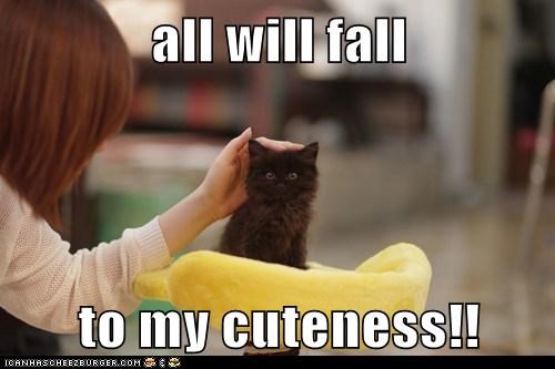all will fall  to my cuteness!!
