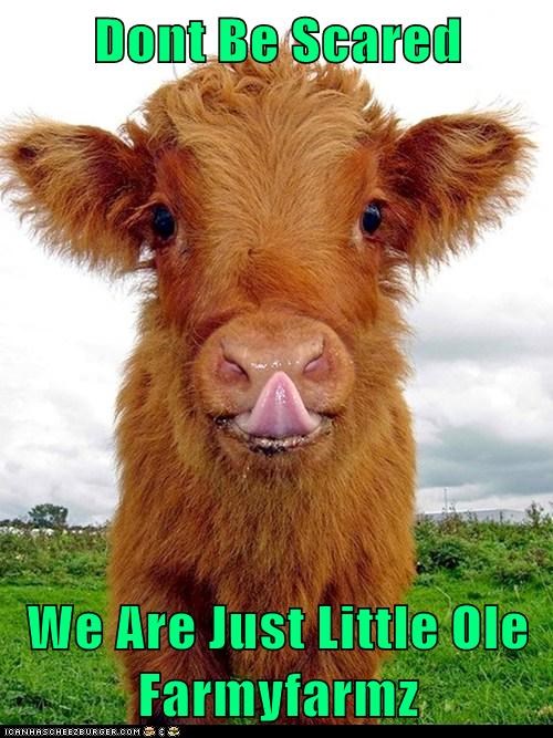 Dont Be Scared  We Are Just Little Ole Farmyfarmz