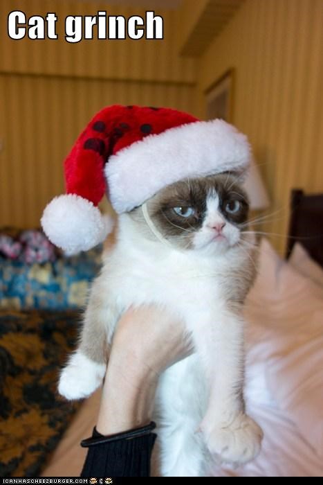 Cat grinch