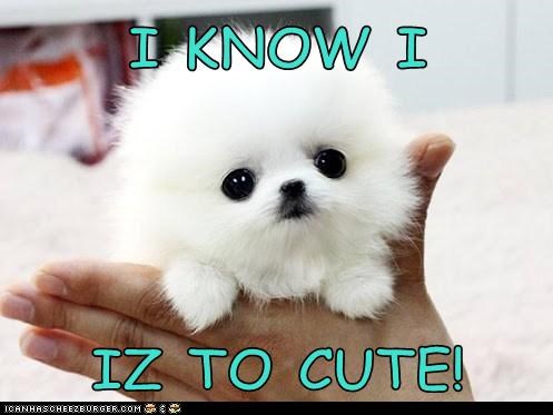 I KNOW I  IZ TO CUTE!