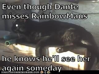 Even though Dante misses RainbowMaus  he knows he'll see her again someday
