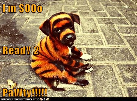 I m SOOo ReadY 2 PaWty!!!!!