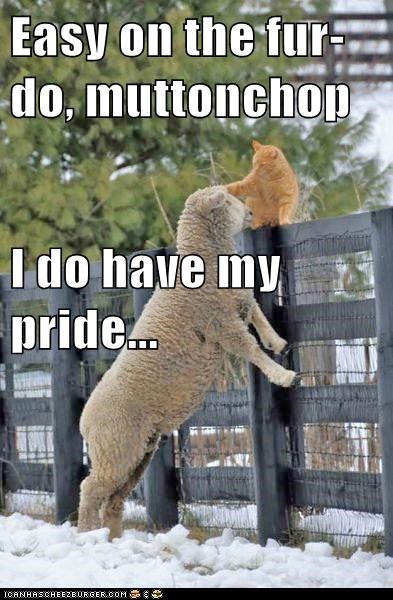Easy on the fur-do, muttonchop I do have my pride...