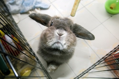 Bunday: What do you want? 