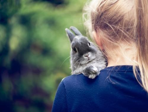 Bunday: Comfort Bun 