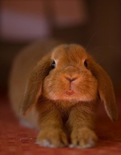 Bunday: Stretching 