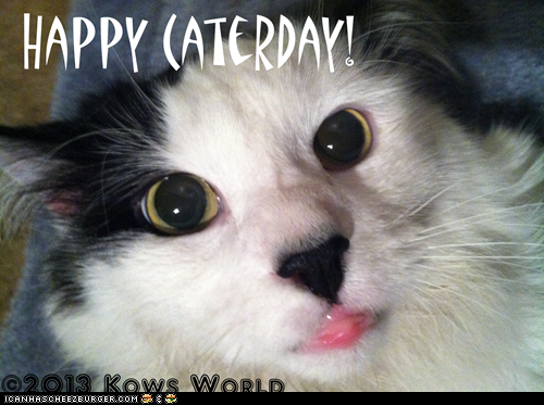 Happy Caterday!