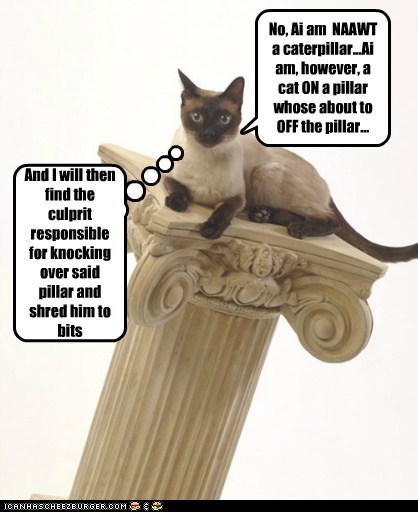 No, Ai am  NAAWT a caterpillar...Ai am, however, a cat ON a pillar whose about to OFF the pillar...