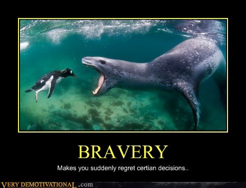 That's One Dumb Penguin