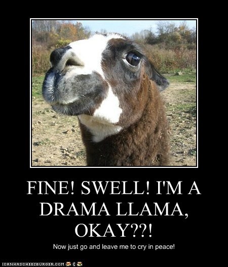 FINE! SWELL! I'M A DRAMA LLAMA, OKAY??!