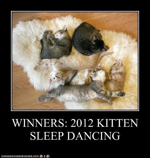 WINNERS: 2012 KITTEN SLEEP DANCING