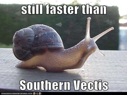 still faster than  Southern Vectis