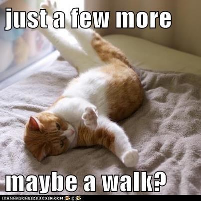 just a few more  maybe a walk?