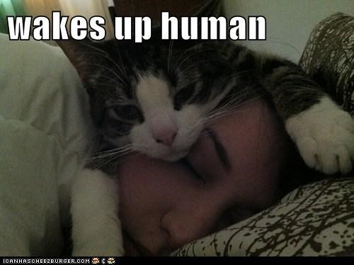 wakes up human
