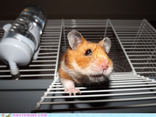 Reader Squee: Escaping!