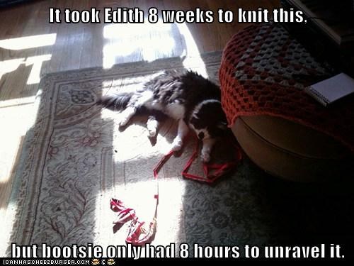 It took Edith 8 weeks to knit this,  but bootsie only had 8 hours to unravel it.