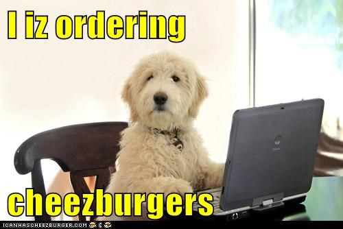 I iz ordering  cheezburgers