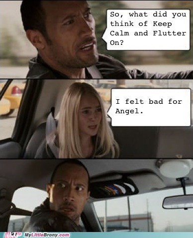 Said No Brony Ever...