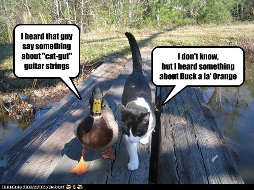 What Animal Trash Talk Sounds Like
