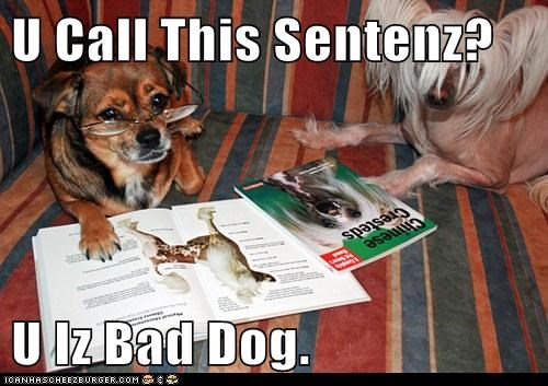 U Call This Sentenz?  U Iz Bad Dog.